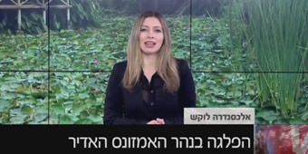 שייט על האמזונס: רענן בן בסט באולפן YNET שייט על האמזונס: רענן בן בסט באולפן YNET