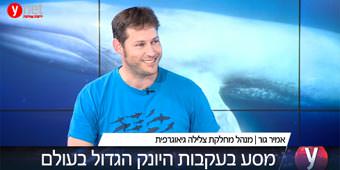 אמיר גור מתארח באולפן YNET ומספר על המשלחת בעקבות הלוויתן הכחול אמיר גור מתארח באולפן YNET ומספר על המשלחת בעקבות הלוויתן הכחול