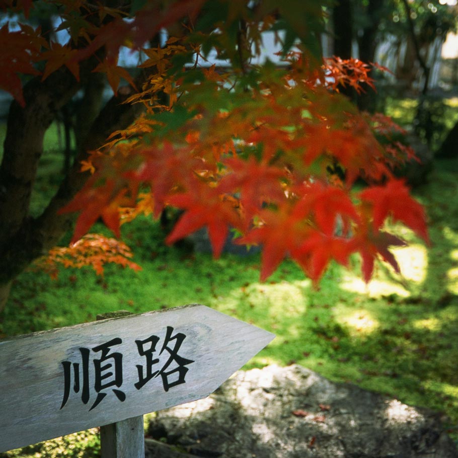 טיול ליפן למתקדמים - 17 יום - יפן בשלכת בין תרבות, טבע ואמנות