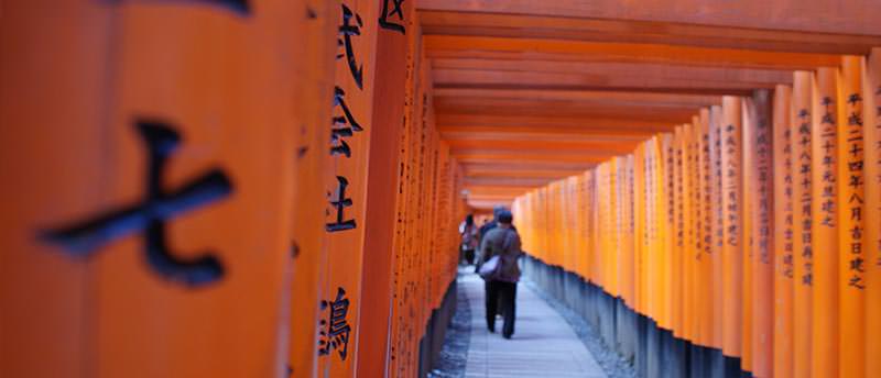 טיול ליפן וסיאול בפריחת הדובדבן החברה הגיאוגרפית