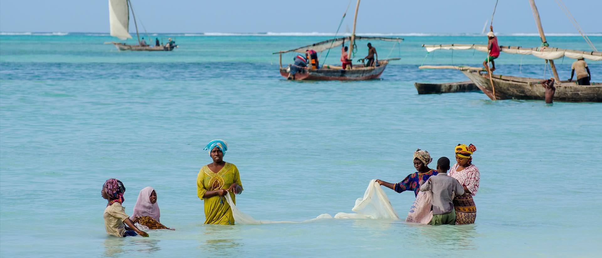 ספארי צלילה בפמבה - 10 ימים - צלילה באי הפראי