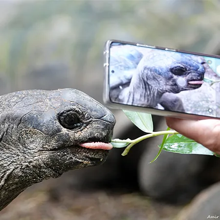 טיול לסיישל - 8 ימים - הפלגת טבע למשפחות טיול לסיישל - 8 ימים - הפלגת טבע למשפחות