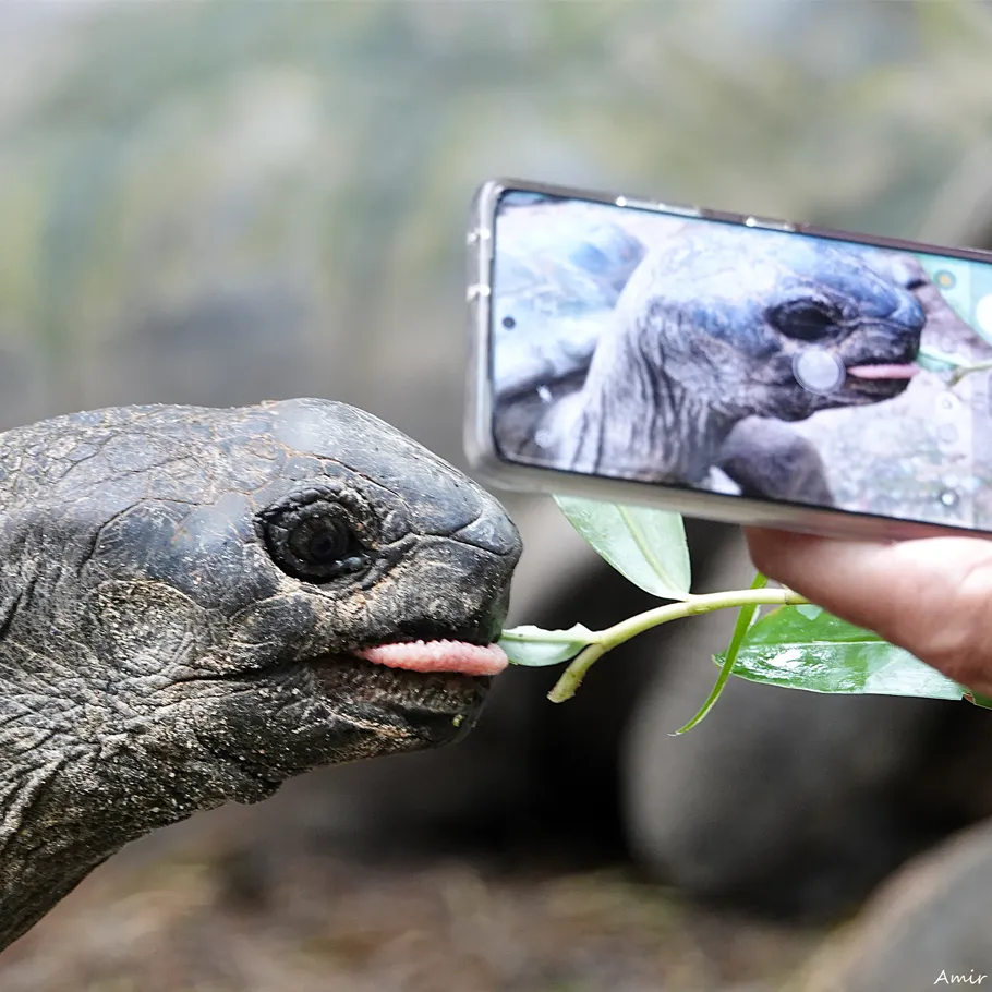 טיול לסיישל - 8 ימים - הפלגת טבע למשפחות