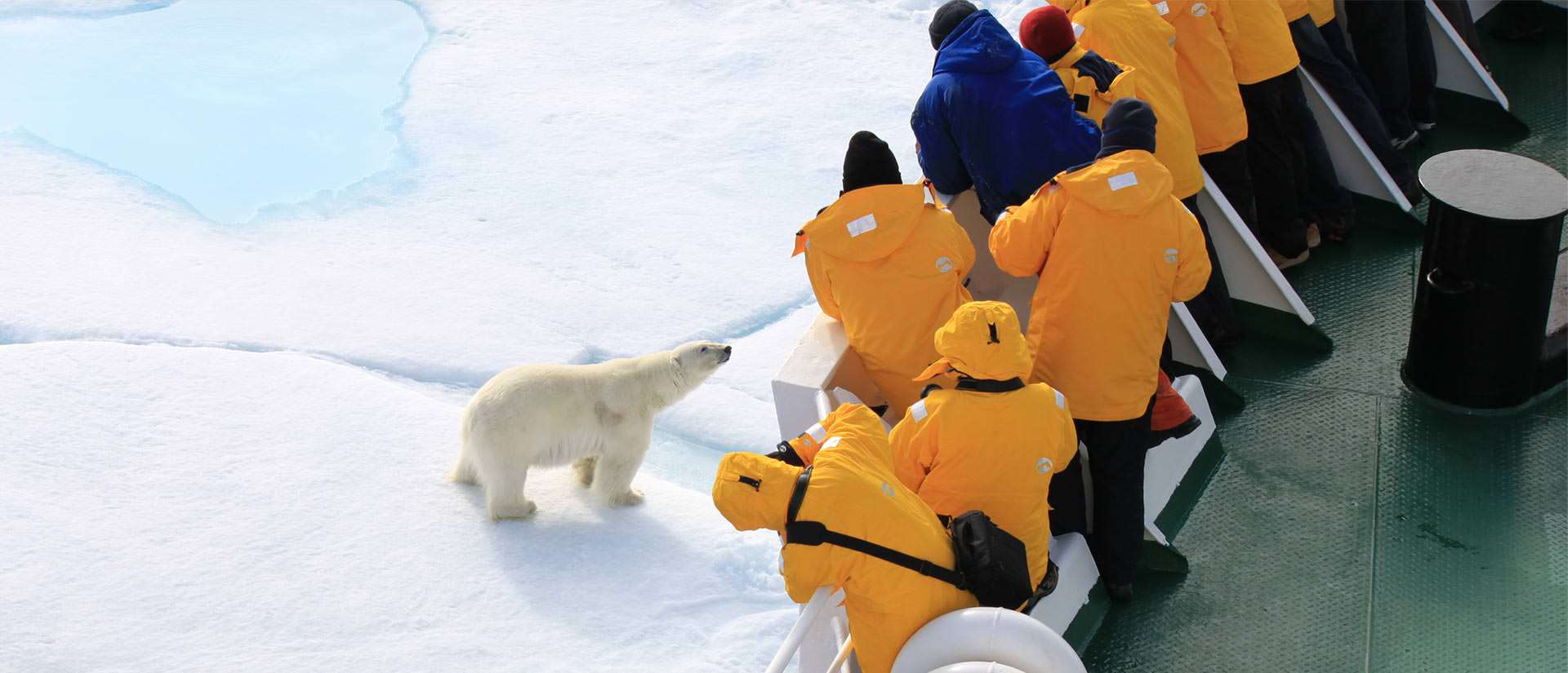 טיול לשפיצברגן - 13 יום - טיול לחוג הארקטי בדגש טבע