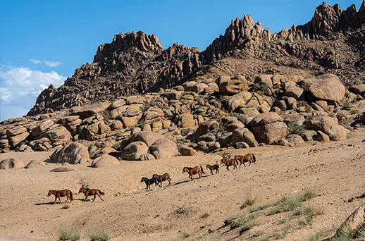 טיול במונגוליה - מסע פורץ גבולות | צילום: איה בן עזרי