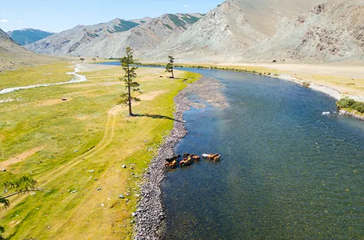 טיול במונגוליה - מסע פורץ גבולות | צילום: איה בן עזרי