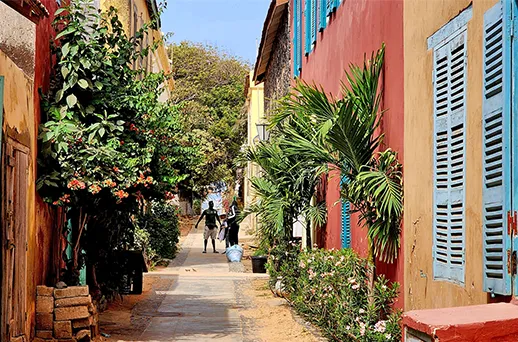 סנגל, גמביה וכף ורדה בעקבות הטיול הלבן סנגל, גמביה וכף ורדה בעקבות הטיול הלבן