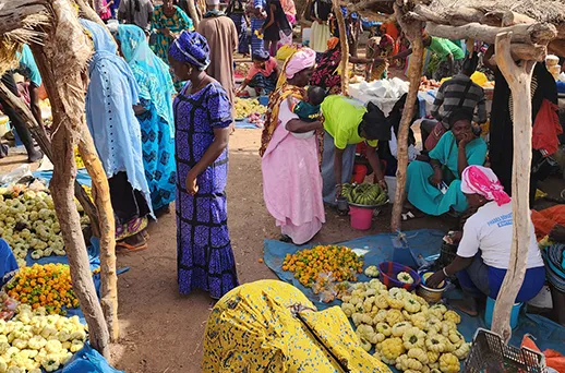 סנגל, גמביה וכף ורדה בעקבות הטיול הלבן סנגל, גמביה וכף ורדה בעקבות הטיול הלבן