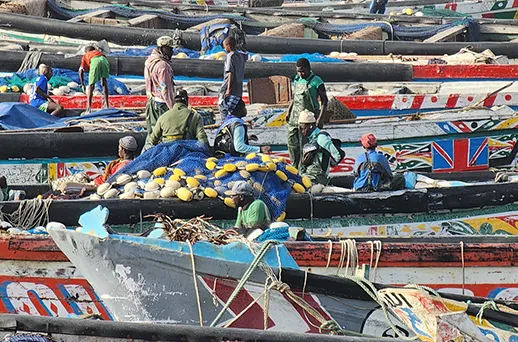 סנגל, גמביה וכף ורדה בעקבות הטיול הלבן סנגל, גמביה וכף ורדה בעקבות הטיול הלבן