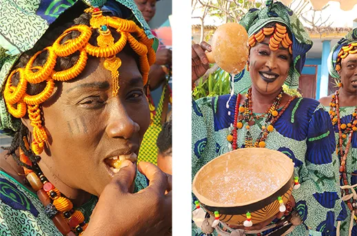 סנגל, גמביה וכף ורדה בעקבות הטיול הלבן סנגל, גמביה וכף ורדה בעקבות הטיול הלבן