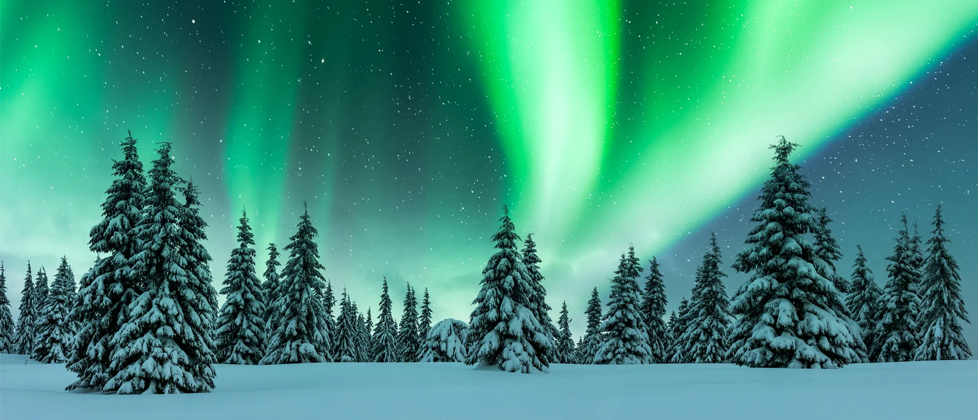 טיולים בעקבות הזוהר הצפוני טיולים בעקבות הזוהר הצפוני