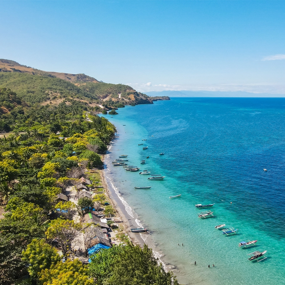 ספארי צלילה במזרח טימור - 14 יום - בעקבות לווייתנים כחולים