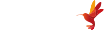 טיולים גיאוגרפים עם מיטב המומחים | החברה הגיאוגרפית