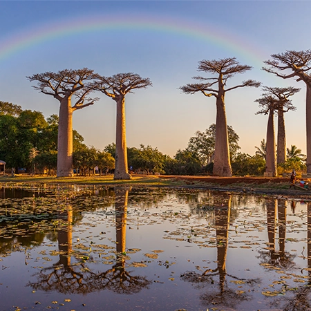 ספארי צלילה במדגסקר - 13 יום - ים וג'ונגל במדגסקר (המסלול המורחב) ספארי צלילה במדגסקר - 13 יום - ים וג'ונגל במדגסקר (המסלול המורחב)