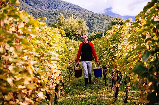 סמינר קולינרי תרבותי בגאורגיה עם נינו אבסדזה סמינר קולינרי תרבותי בגאורגיה עם נינו אבסדזה