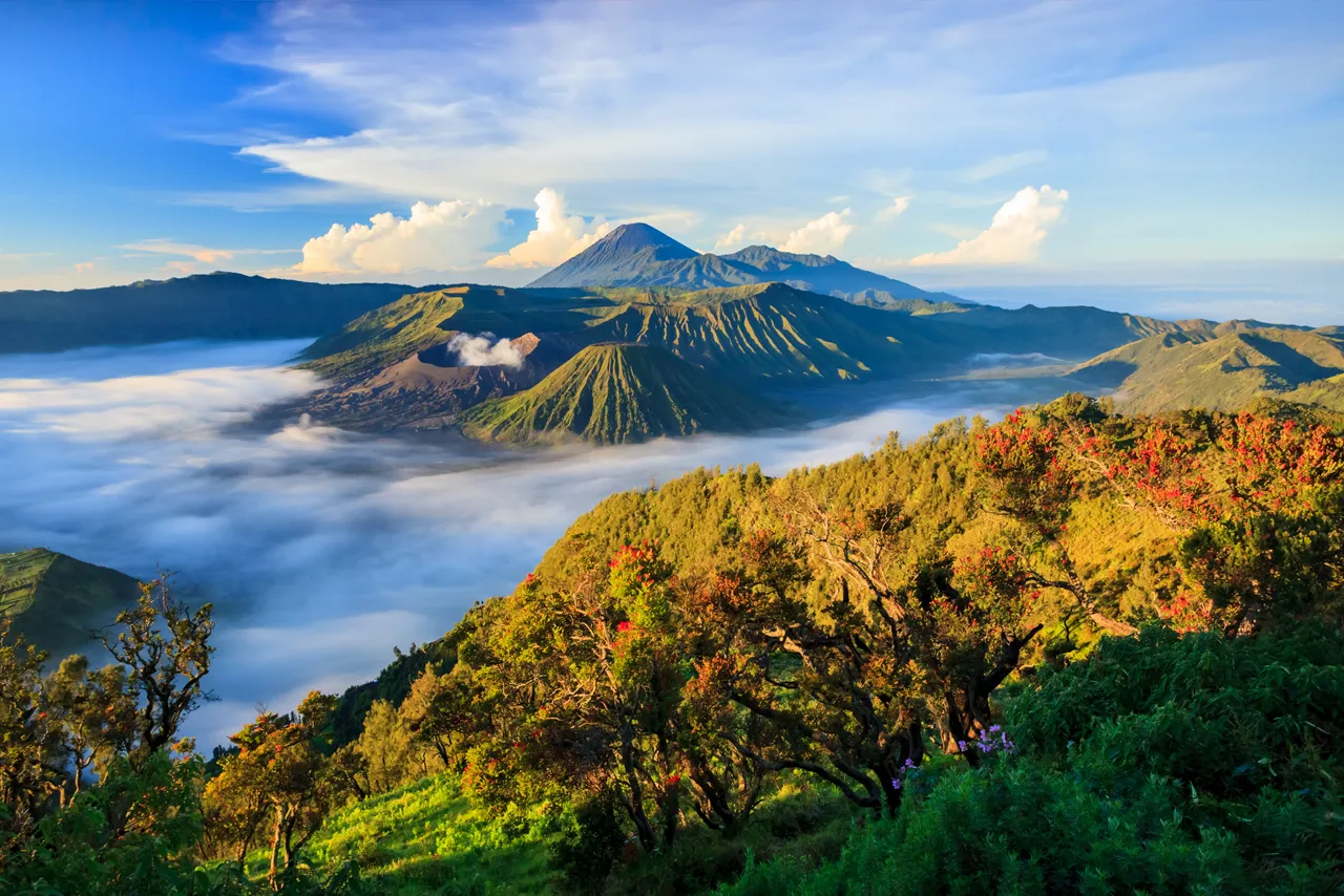 הנופים הפראיים של הר ברומו, האי ג'אווה, אינדונזיה הנופים הפראיים של הר ברומו, האי ג'אווה, אינדונזיה