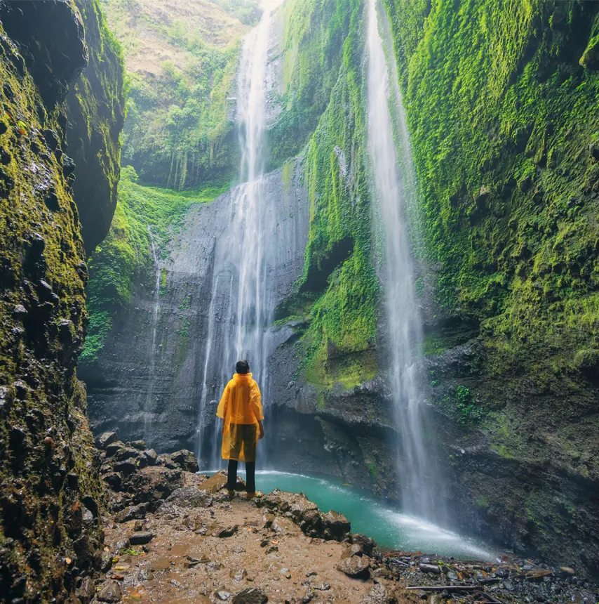 טבע פראי - אינדונזיה טבע פראי - אינדונזיה