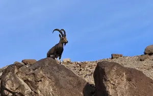 טרקים בארץ טרקים בארץ